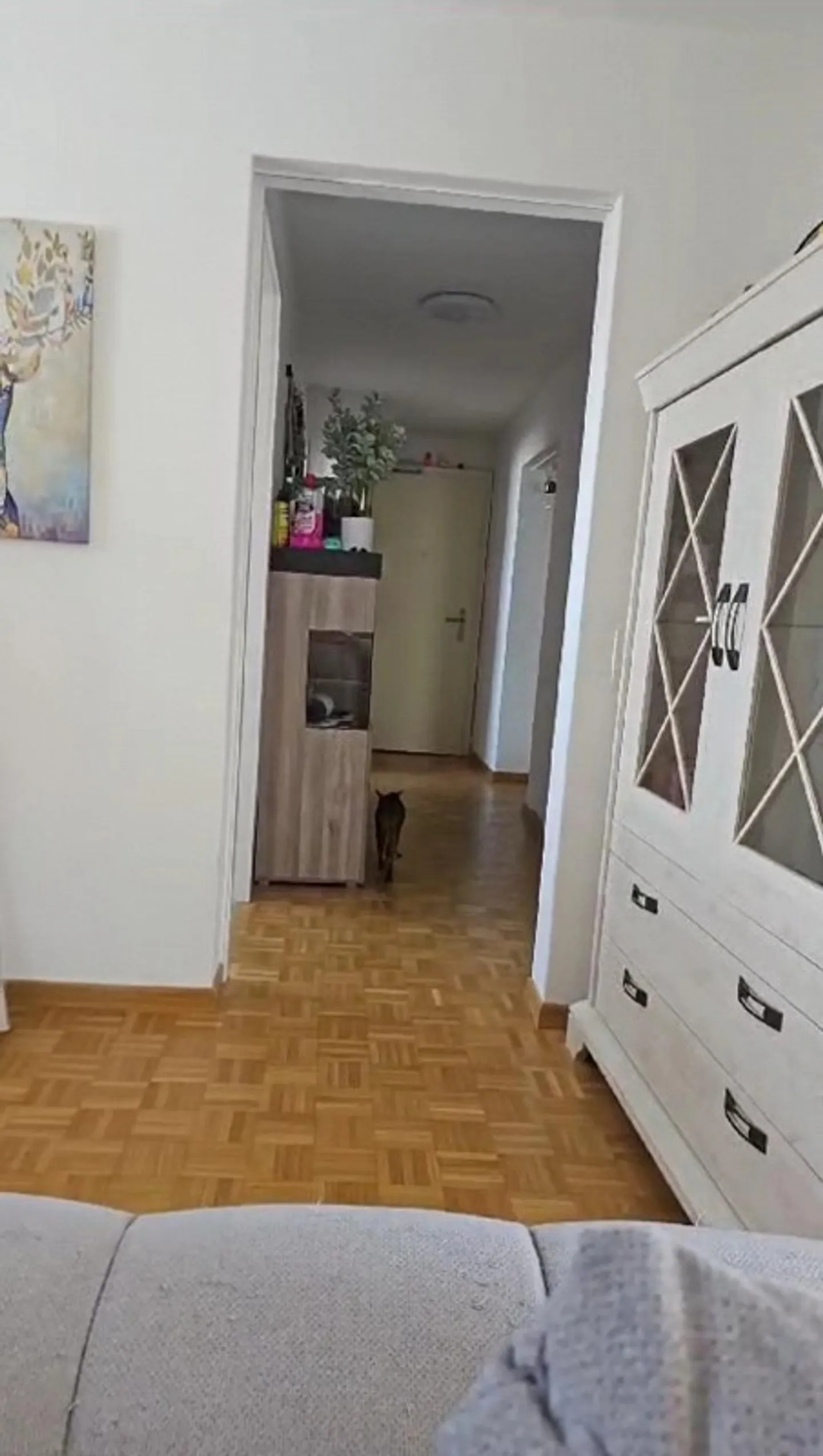 Appartamento luminoso con 3 stanze ad Aarau – Moderno e tranquillo - Foto 10 di 11