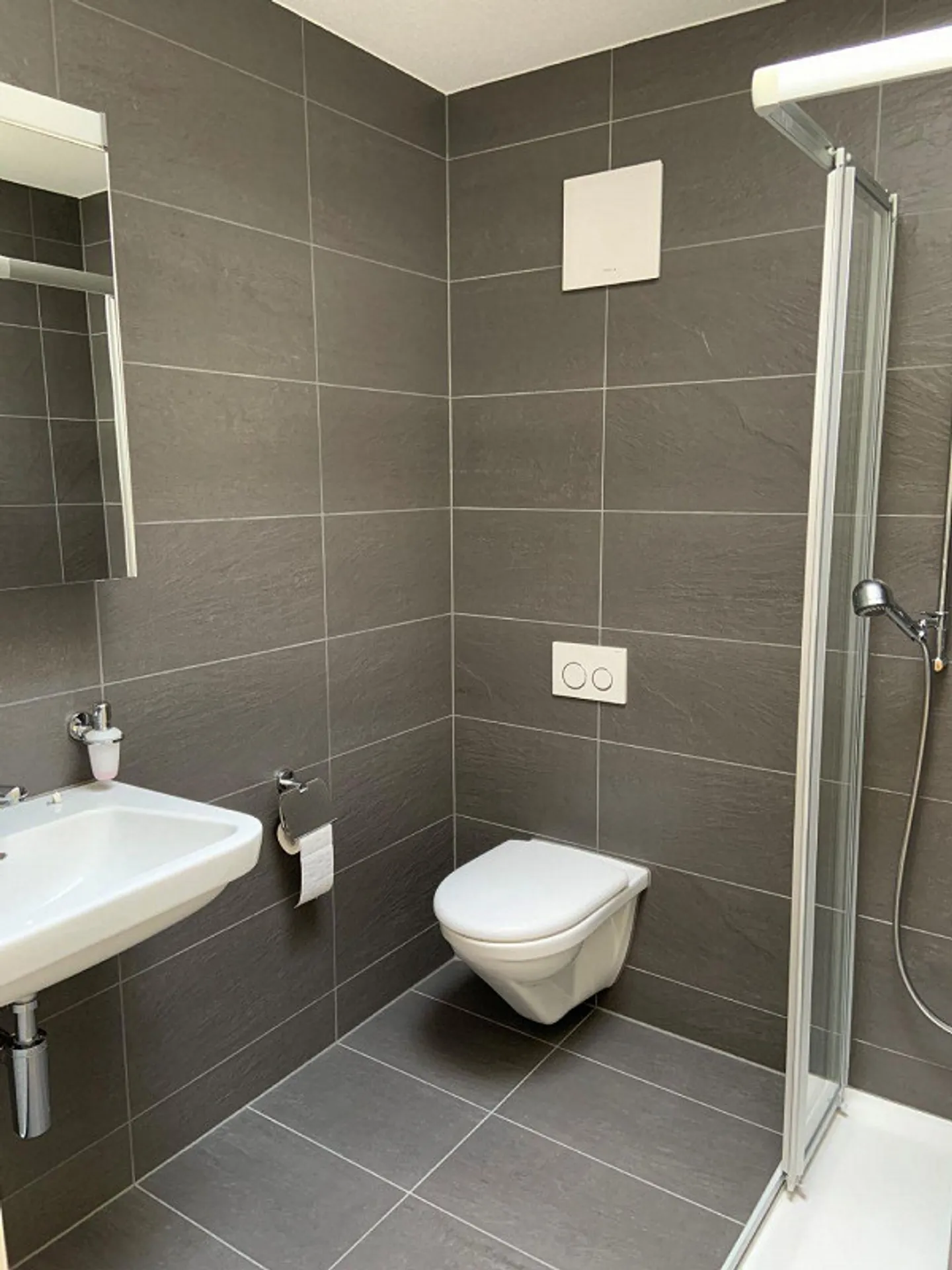 vie généreux à Oensingen - Photo 3 sur 8