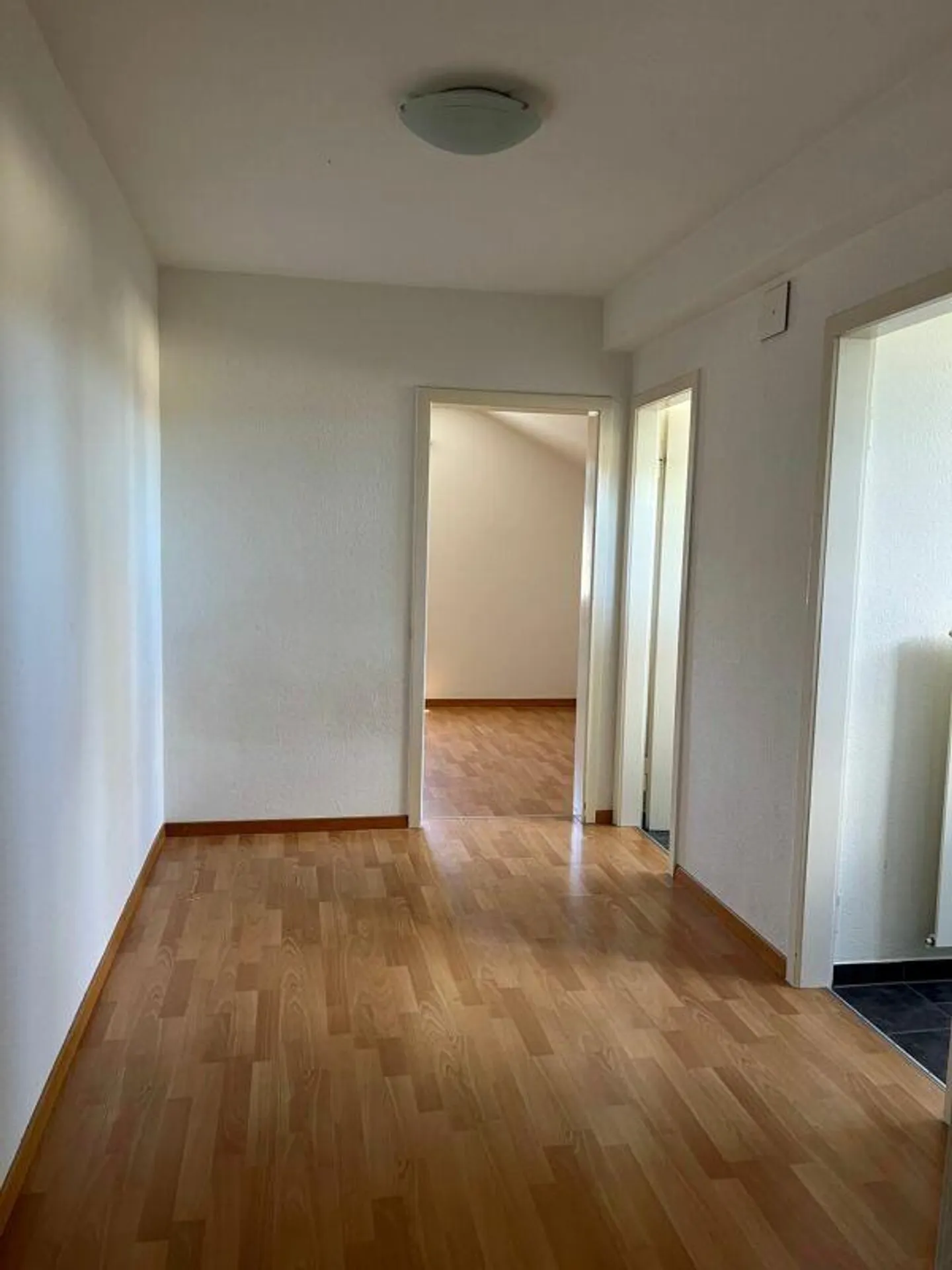 Charmante 1.5-Zimmer-Wohnung - Foto 3 von 7