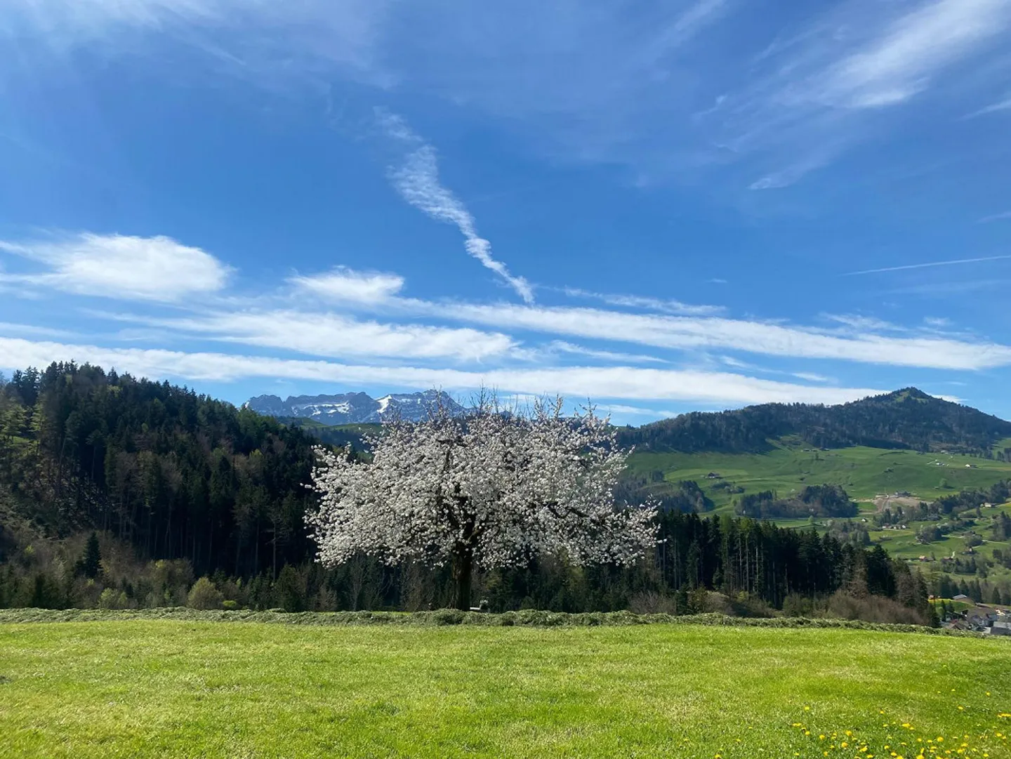 Parte di una casa in affitto - Foto 2 di 23