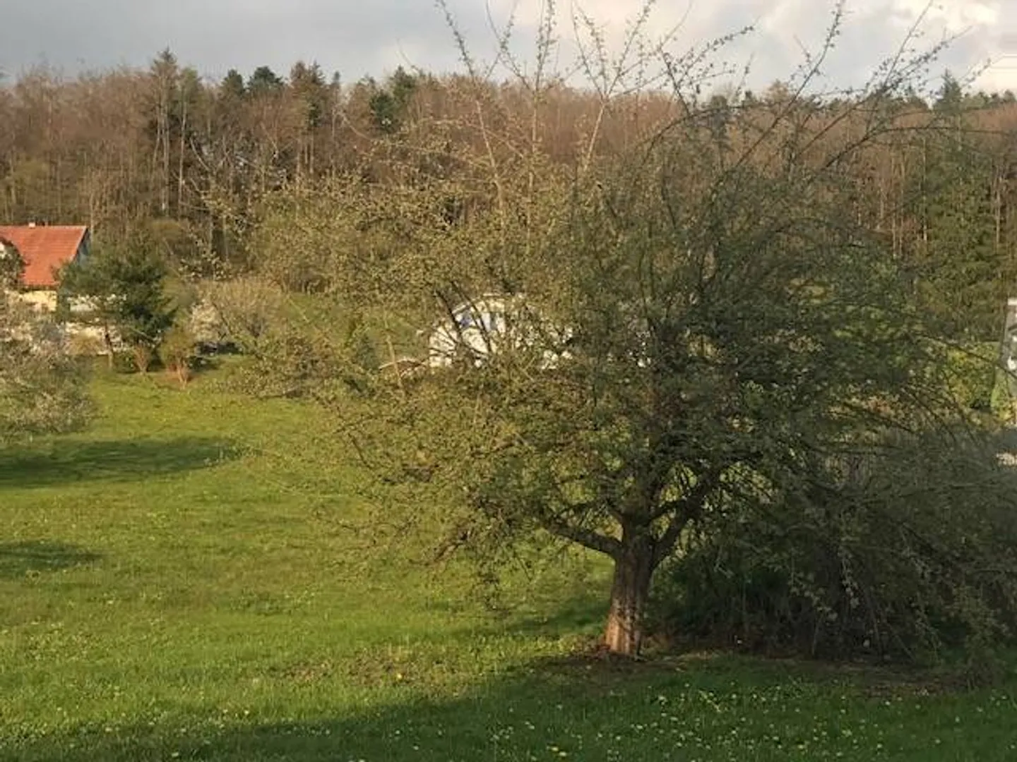 Bellissima casa d'architetto con bel giardino - Foto 8 di 13