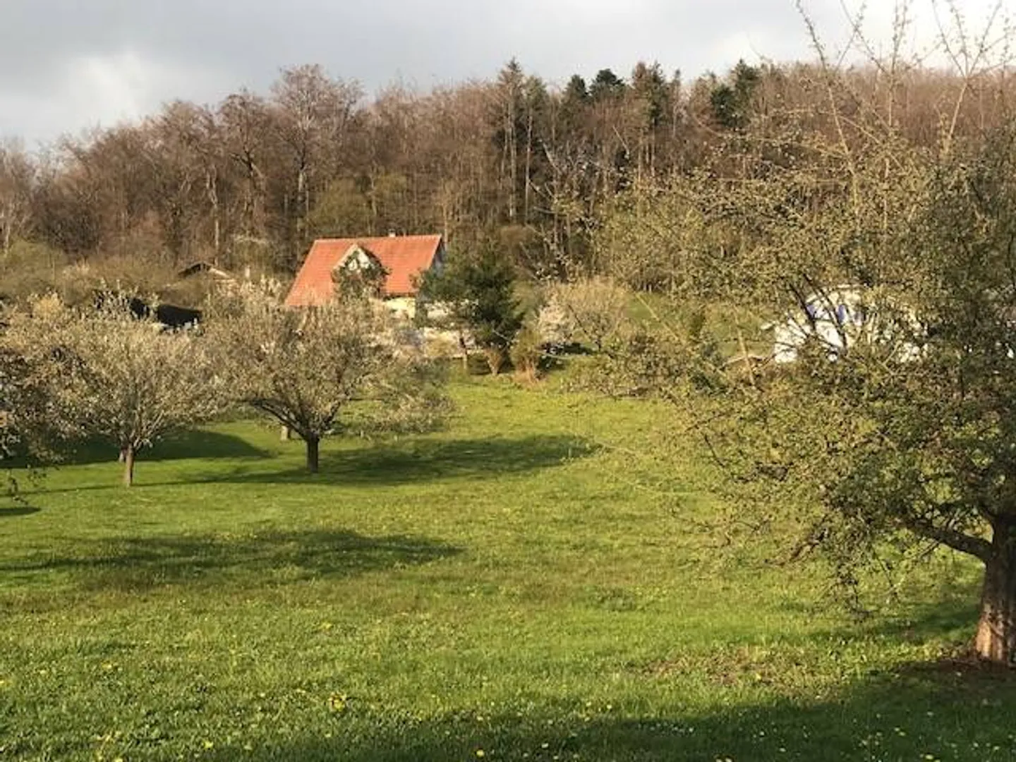 Bellissima casa d'architetto con bel giardino - Foto 10 di 13