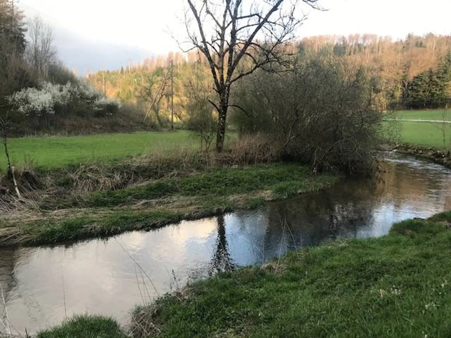 Bellissima casa d'architetto con bel giardino - Foto 11 di 13