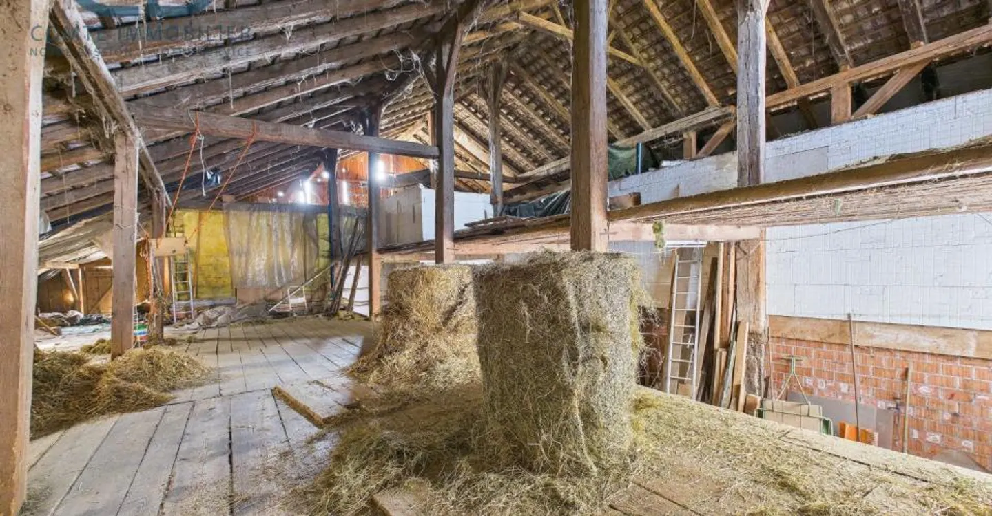 Renovated old farmhouse with stable and land - Photo 12 of 13