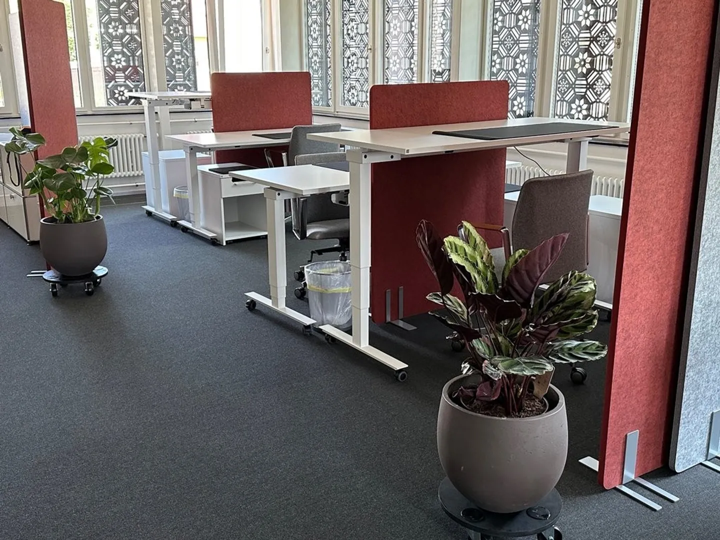 Votre bien commercial de plus de 137m2 au centre d'Affoltern am Albis - Photo 3 sur 7