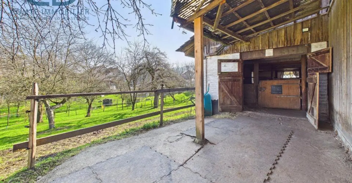 Renovated old farmhouse with stable and land - Photo 13 of 13
