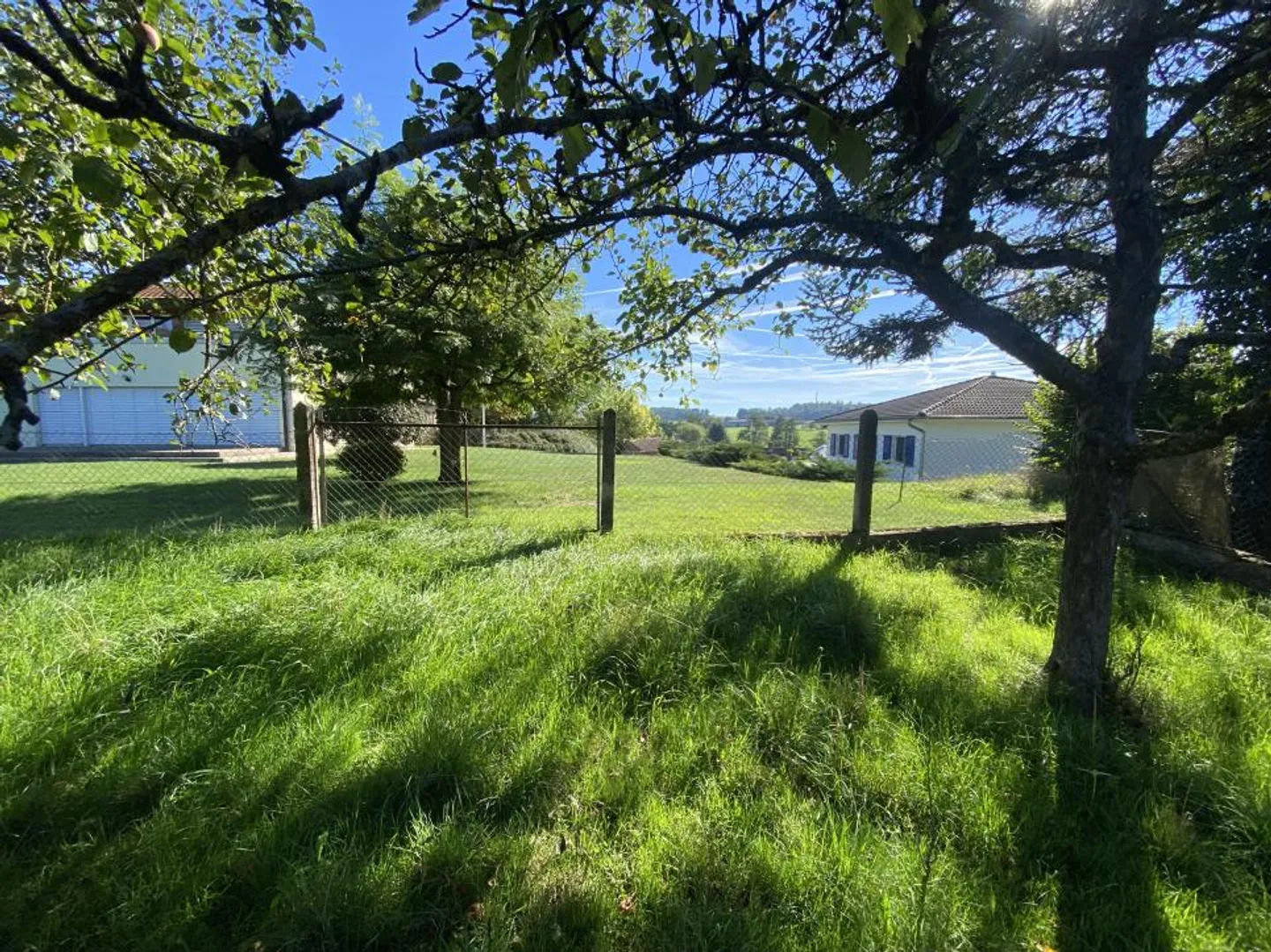 Grand verger ensoleillé - Photo 4 sur 13