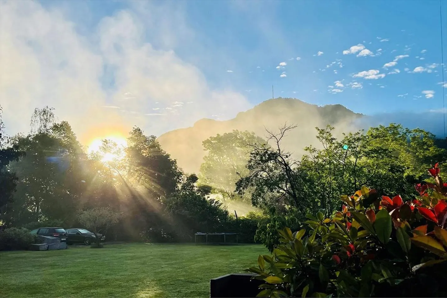 Oasis full of charm, nature, and tranquility! In the heart of Collina D'Oro! - Photo 3 of 13