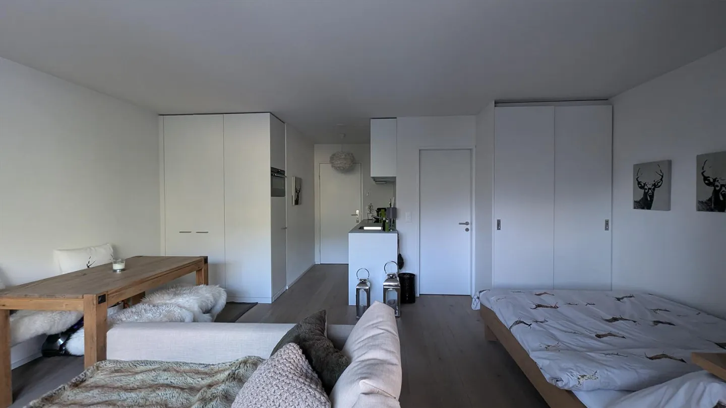 WONDERFUL VIEW - STUDIO IN A QUIET, SUNNY LOCATION - Photo 9 of 12