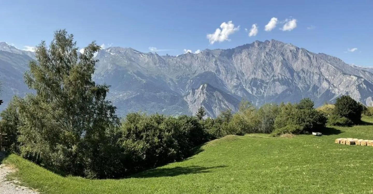 Alpine chalet with panoramic view in the heart of the 4 Valleys - Photo 1 of 10