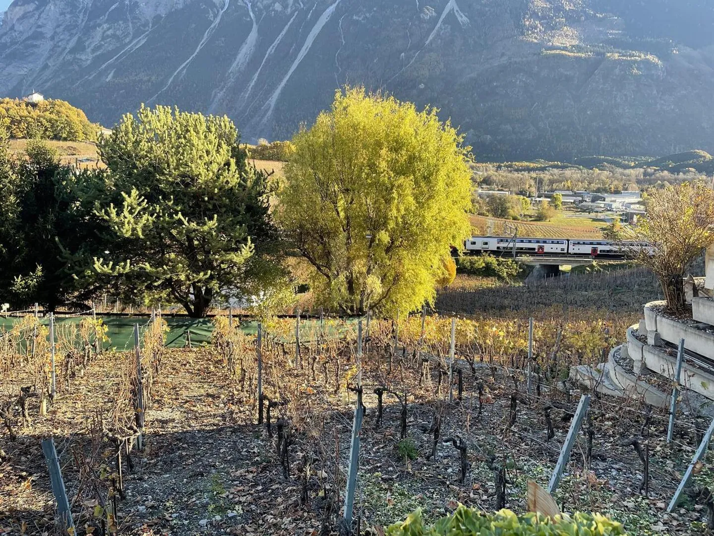 AU COEUR DES VIGNOBLES PITTORESQUES - Photo 1 sur 6