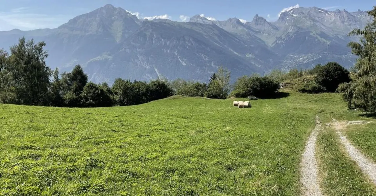 Alpine chalet with panoramic view in the heart of the 4 Valleys - Photo 5 of 10