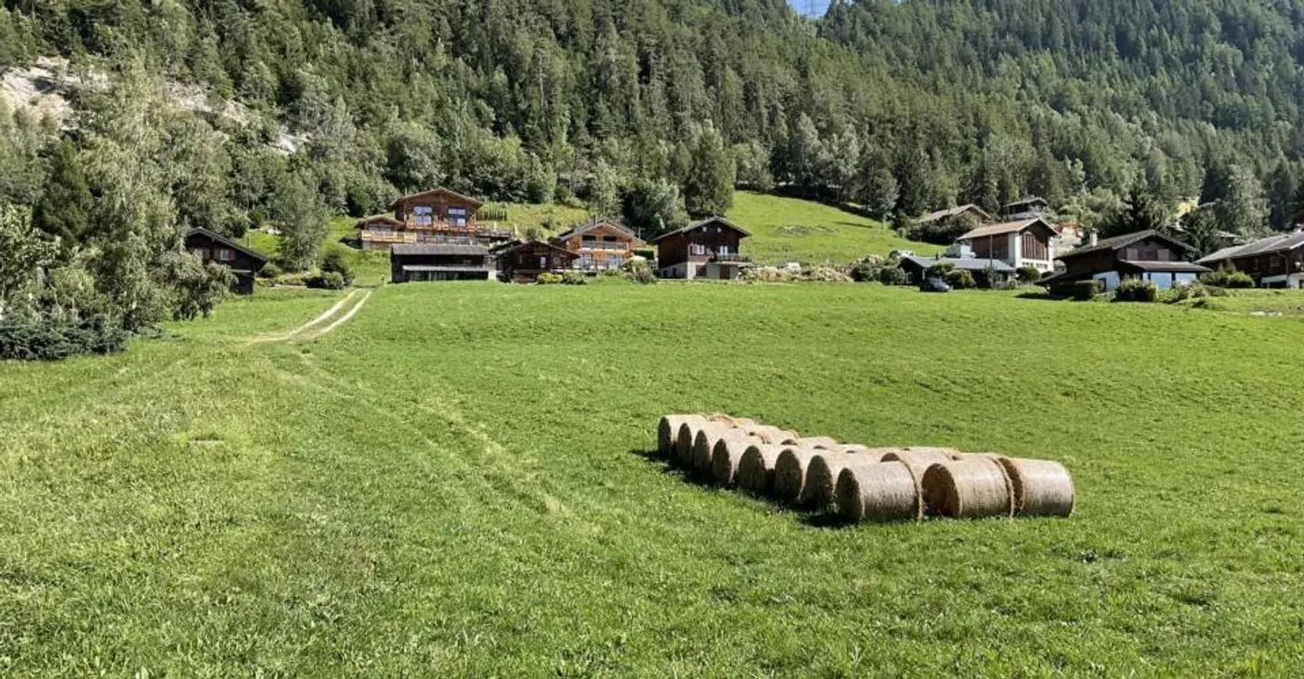 Alpine chalet with panoramic view in the heart of the 4 Valleys - Photo 6 of 10