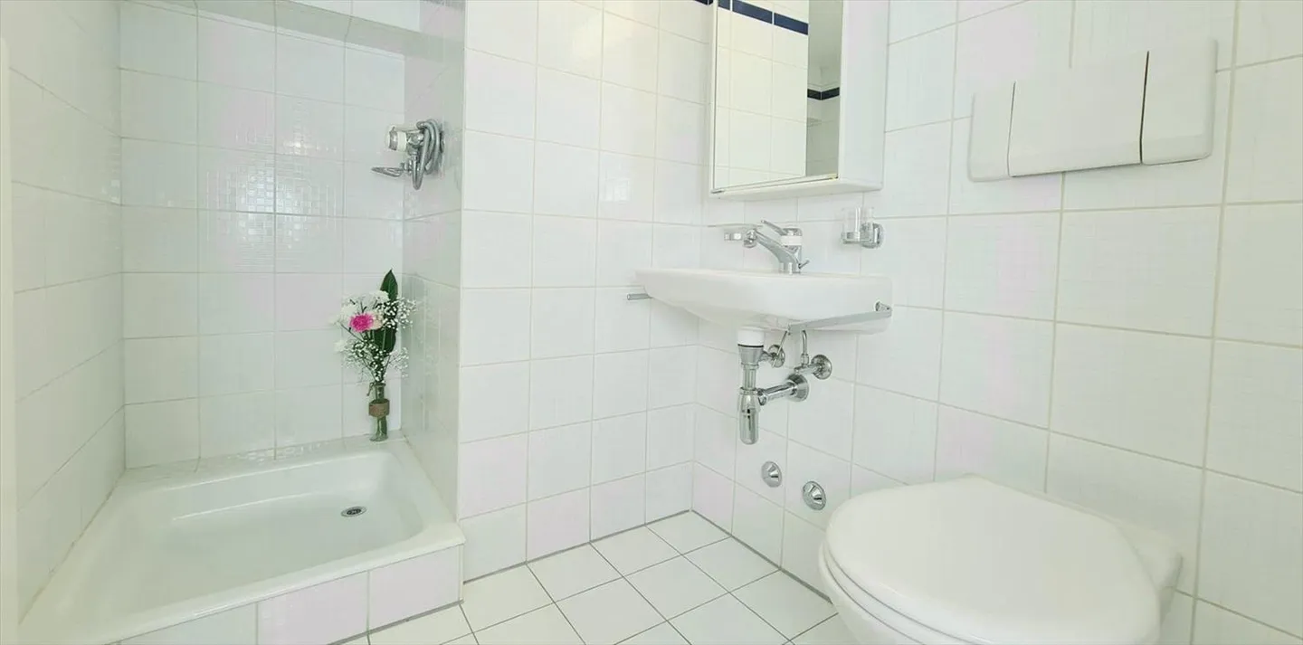 Magnifico duplex nel cuore di Ginevra - Foto 13 di 15