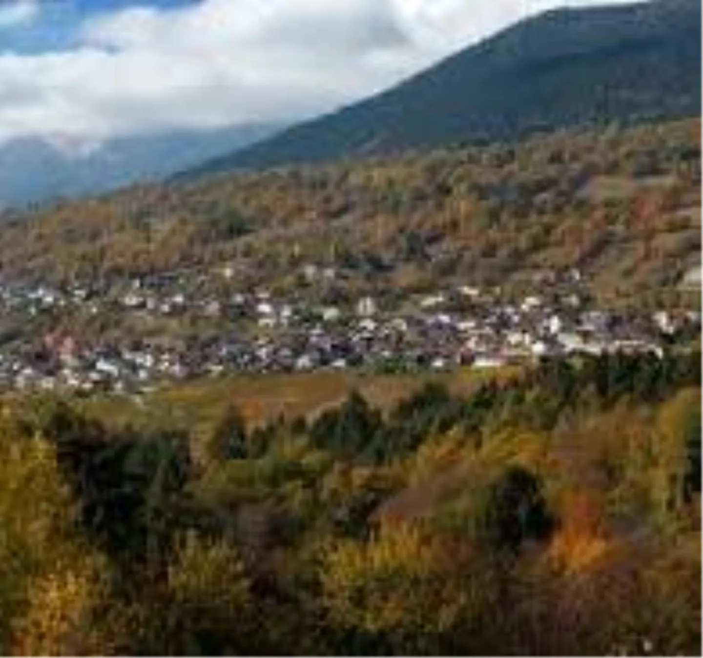 SAVIESE
New promotion
Magnificent view of the Alps - Photo 8 of 8