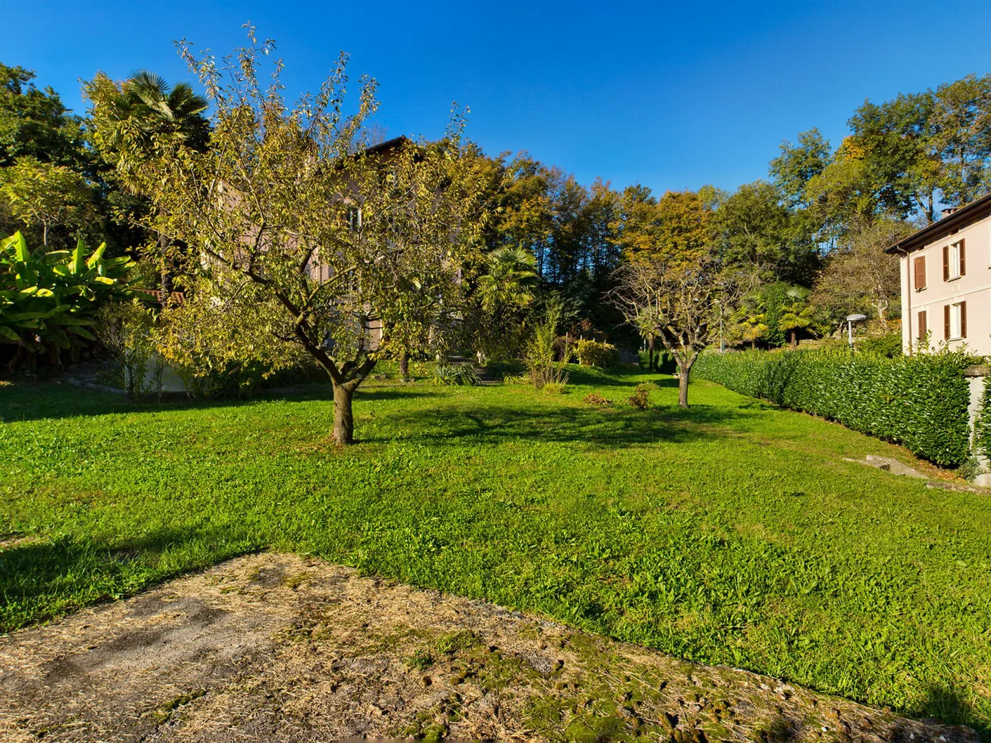 BUILDABLE LAND with multi-family house: future prospects with a touch of history. - Photo 3 of 13