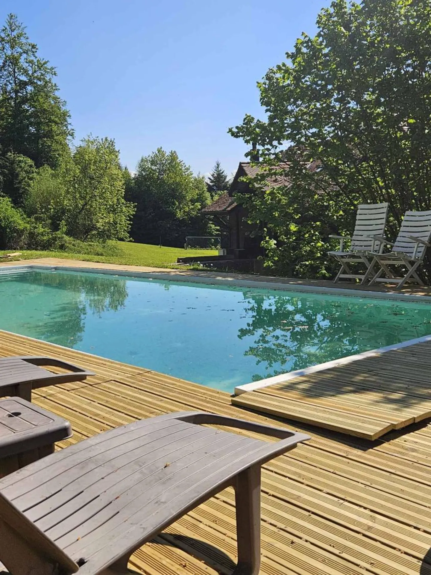Spacious farmhouse with swimming pool on the edge of the forest - Photo 8 of 8
