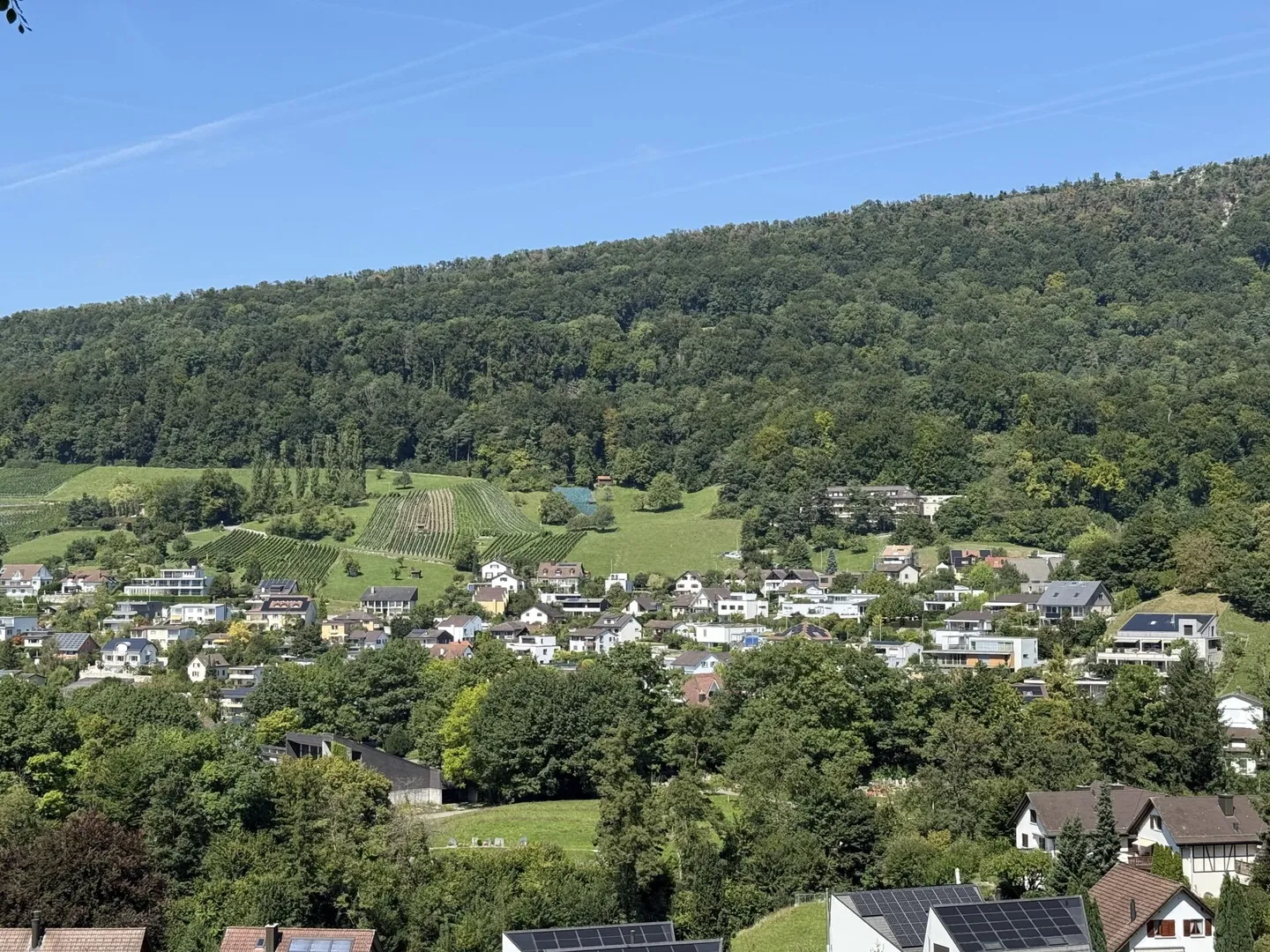 Floris - New Construction Project Aeschstrasse Wettingen I Living in Nature - Photo 1 of 3