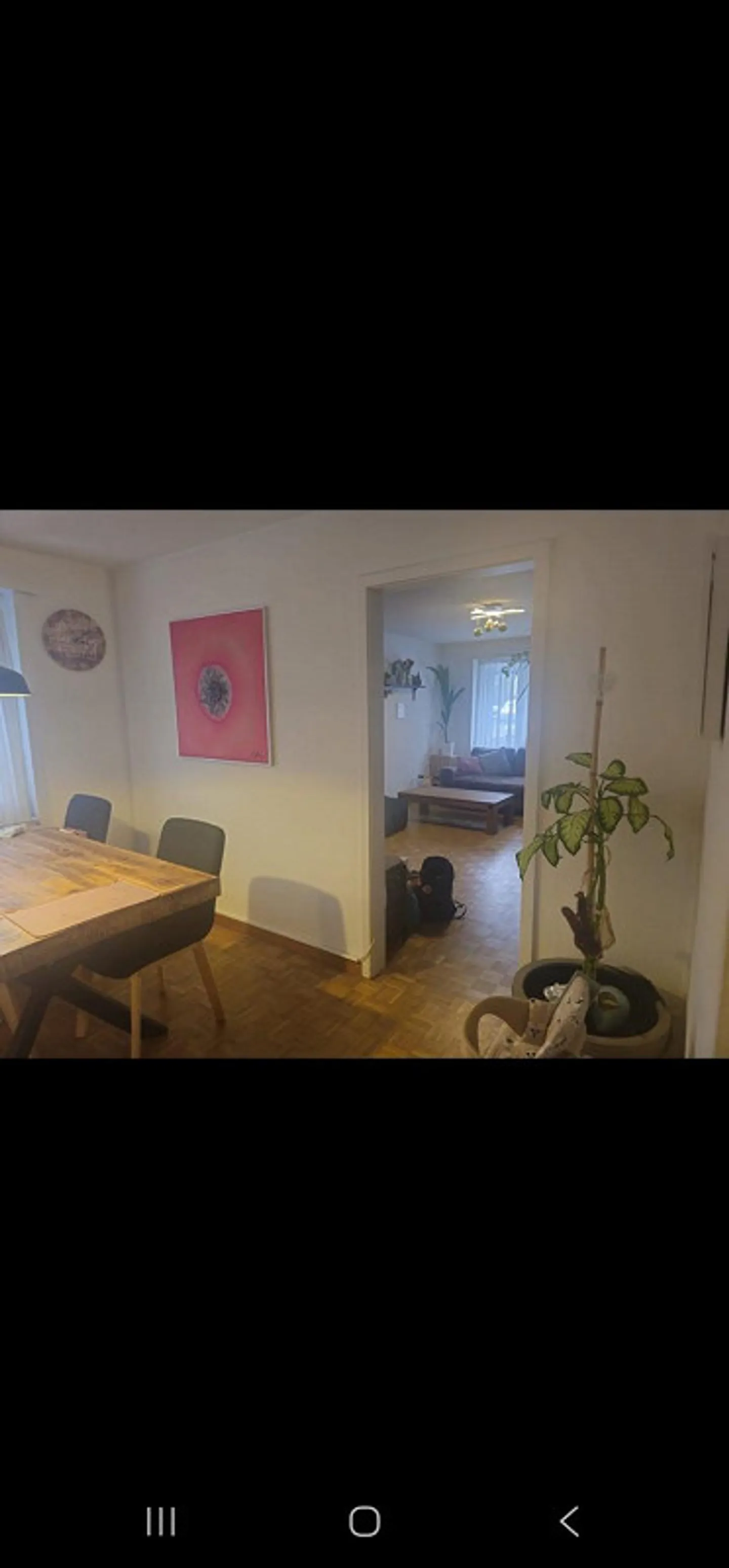 Helles Zuhause im Grünen - Foto 5 von 13