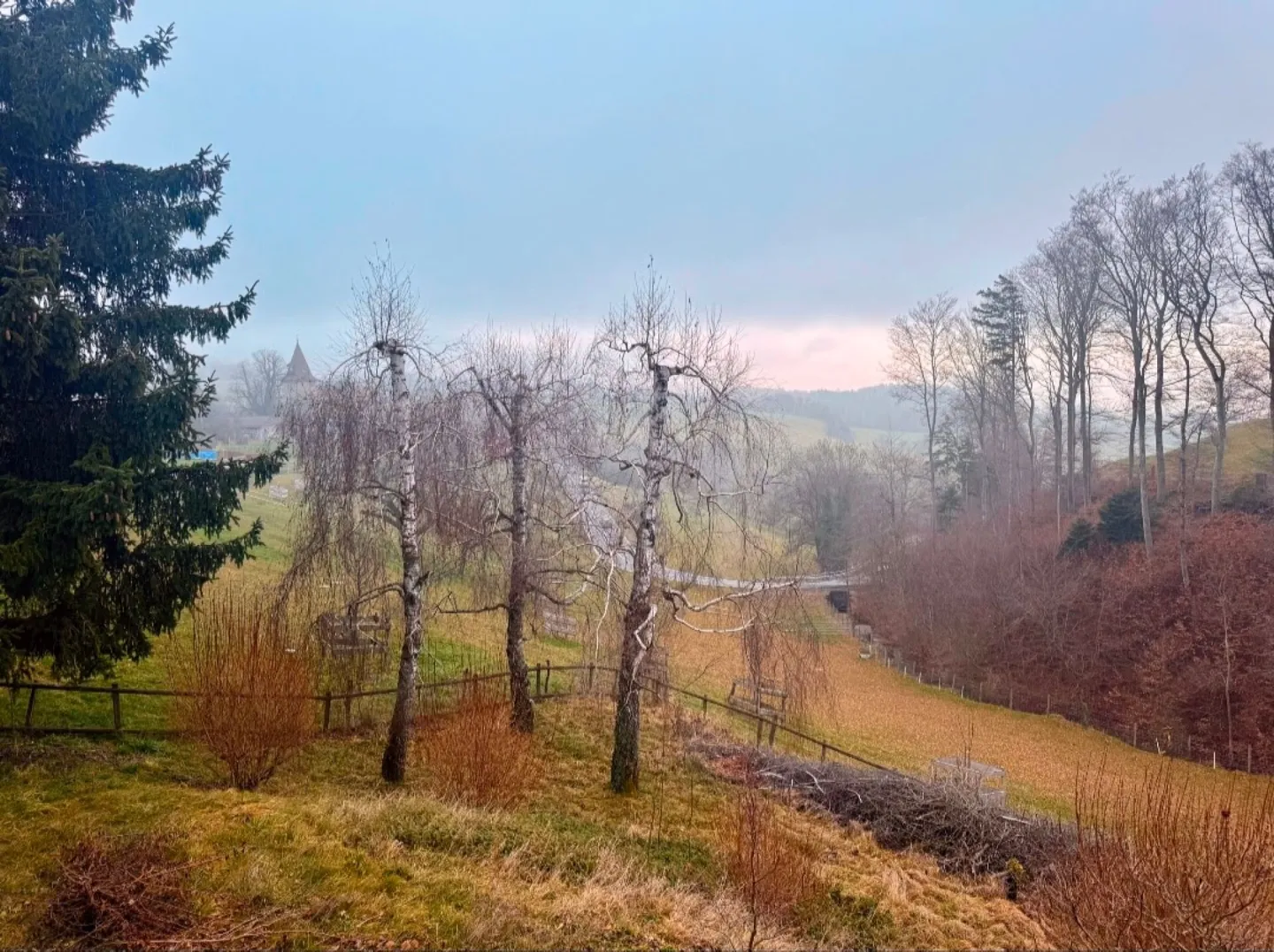 Bright individual villa with large spaces & independent studio - Photo 17 of 17