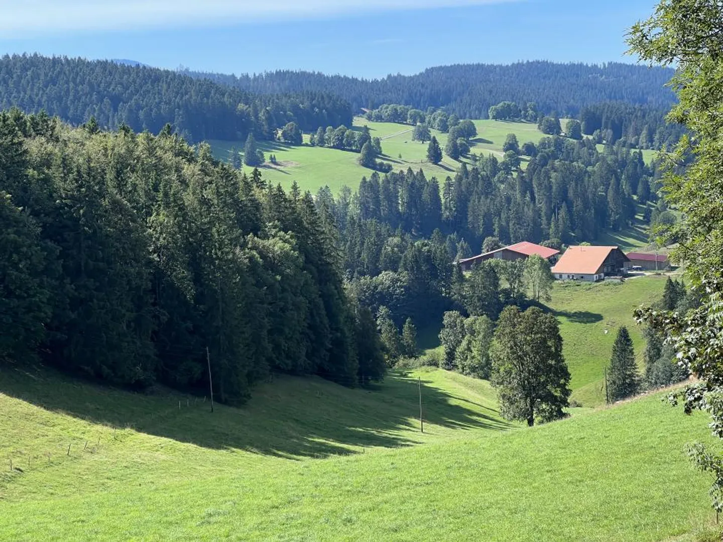 Proprietà maestosa con 22 camere, grande giardino recintato, piccolo angolo di foresta - Foto 1 di 13