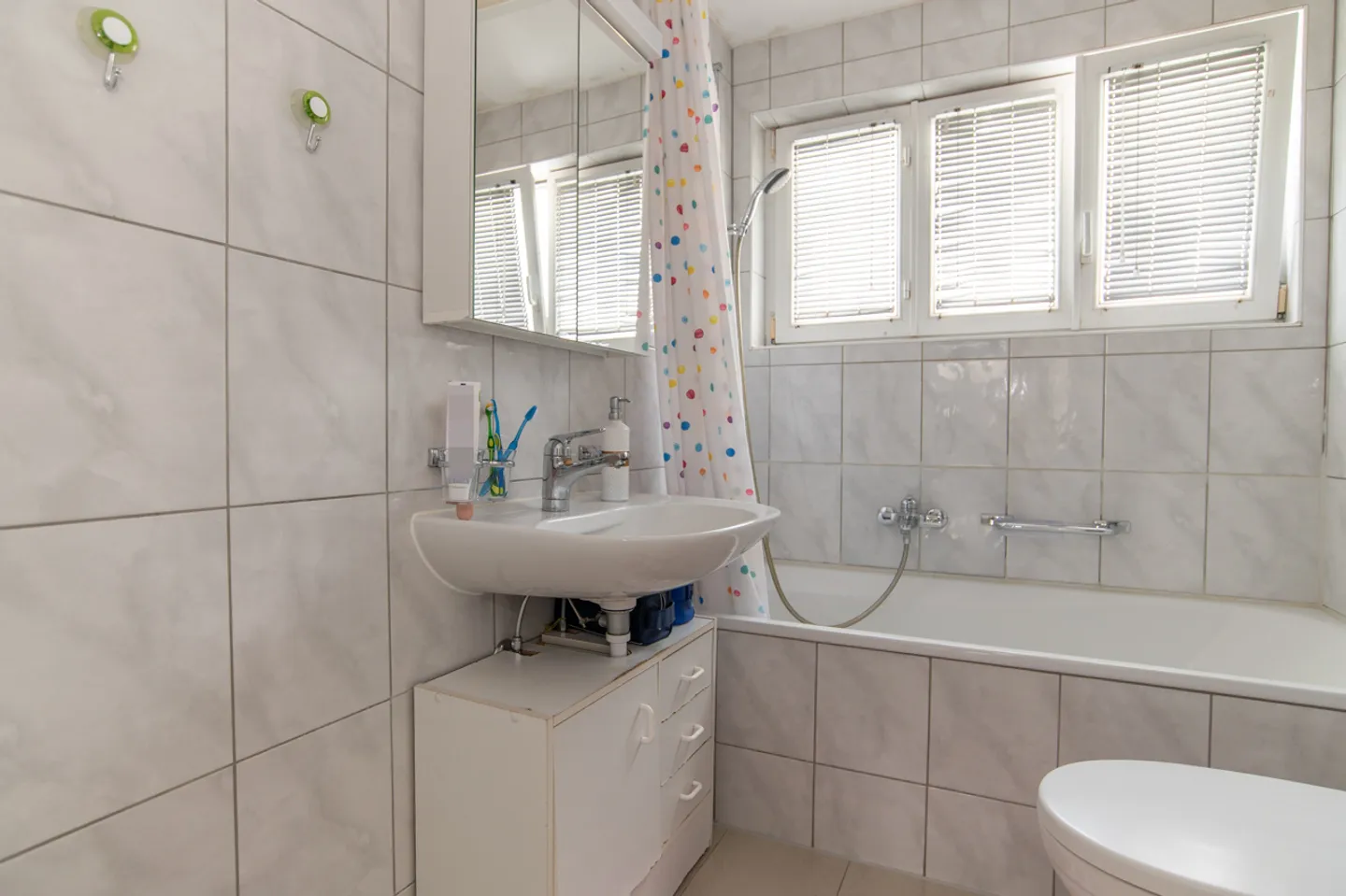 Completely Renovated Three-Family House in a Quiet yet Central Location - Photo 9 of 14