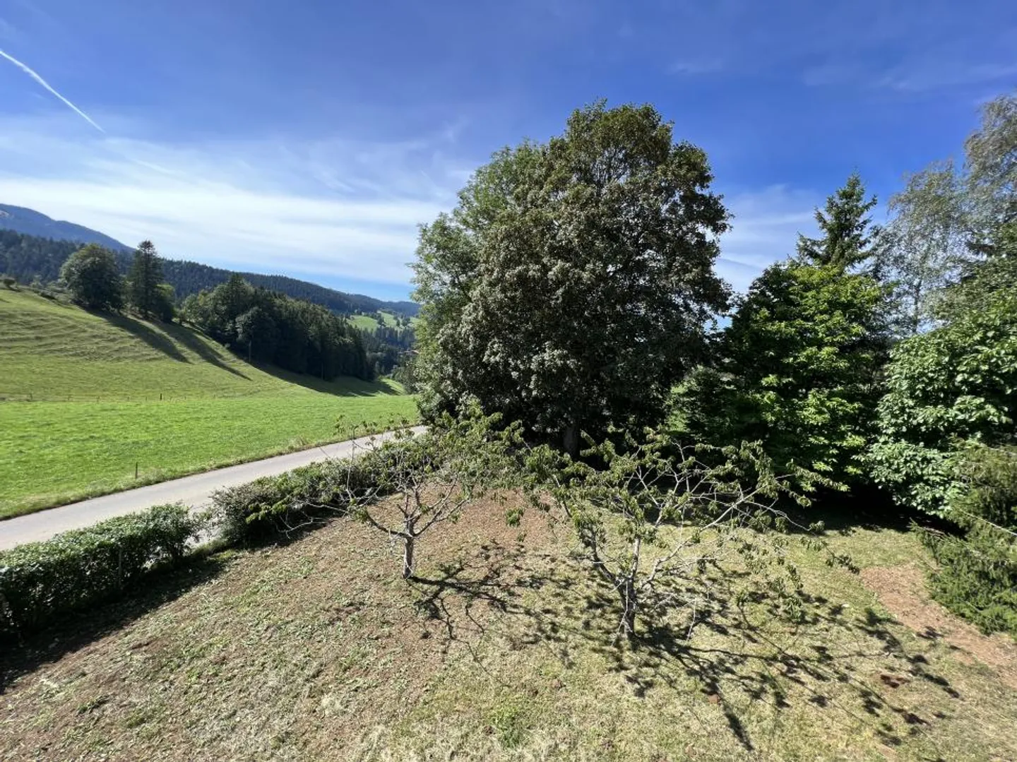 Proprietà maestosa con 22 camere, grande giardino recintato, piccolo angolo di foresta - Foto 5 di 13