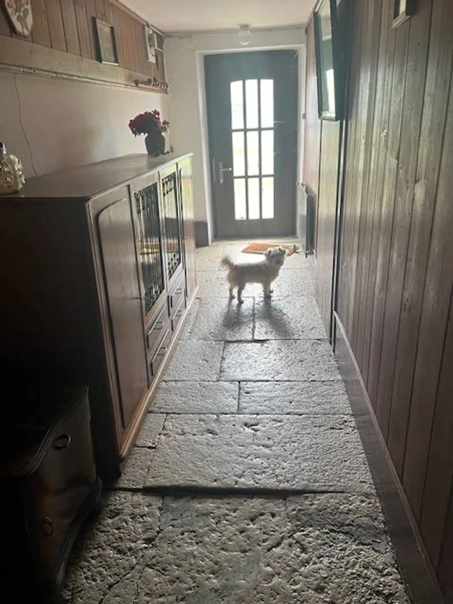 Proprietà maestosa con 22 camere, grande giardino recintato, piccolo angolo di foresta - Foto 6 di 13