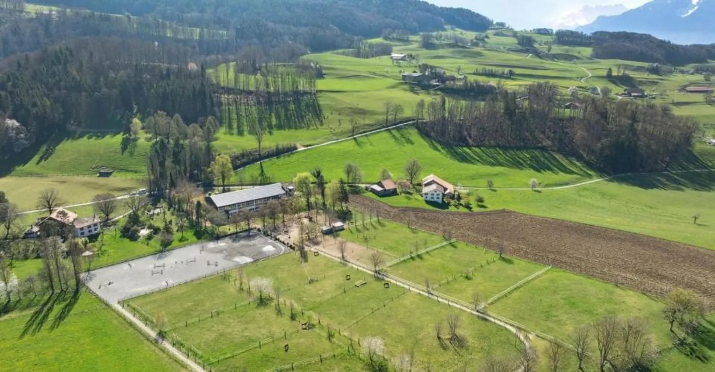 Esclusiva SOTHEBY'S Centro Equestre con rendimento - Foto 1 di 12