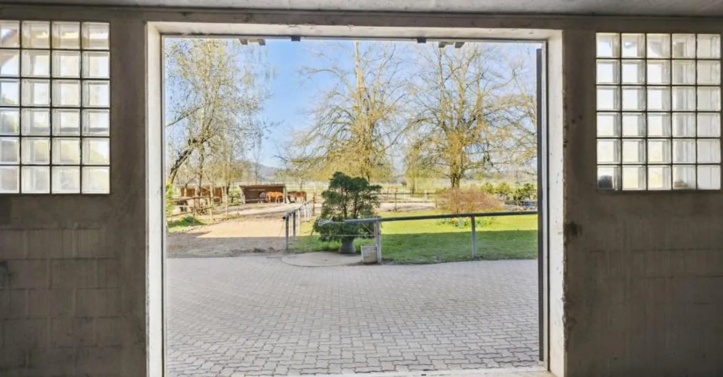 Esclusiva SOTHEBY'S Centro Equestre con rendimento - Foto 8 di 12