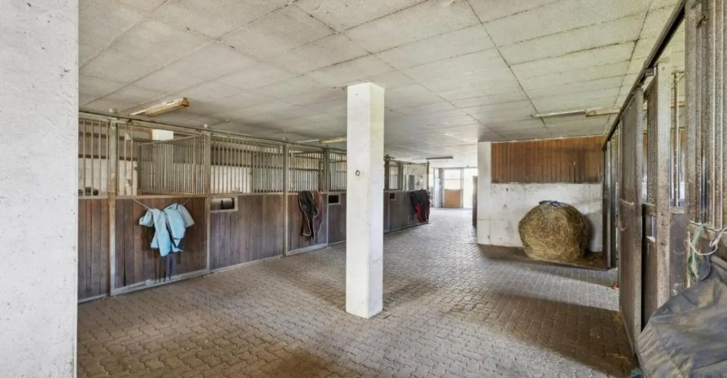 Esclusiva SOTHEBY'S Centro Equestre con rendimento - Foto 5 di 12