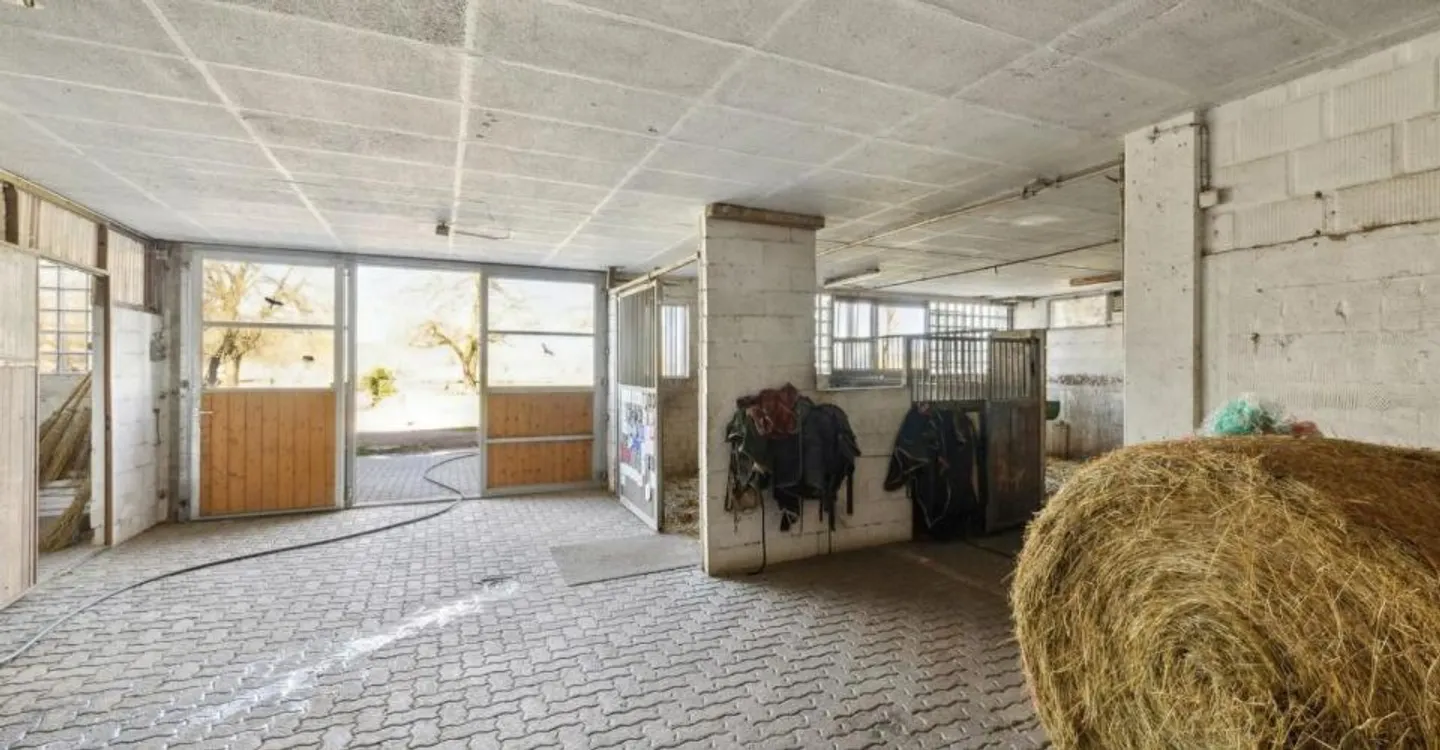 Esclusiva SOTHEBY'S Centro Equestre con rendimento - Foto 6 di 12