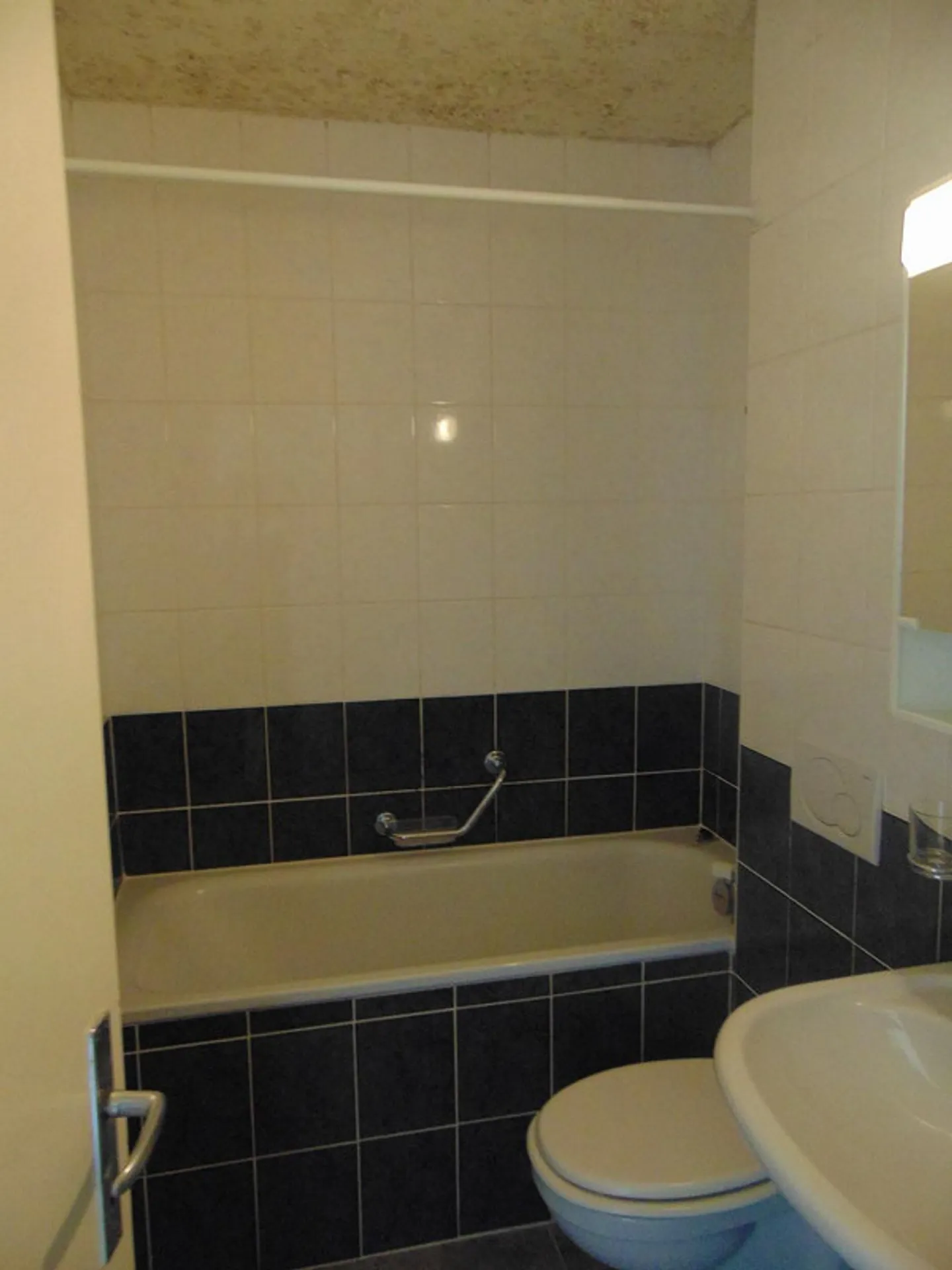 Magnifico appartamento di 2 stanze a Ecublens - Foto 9 di 10