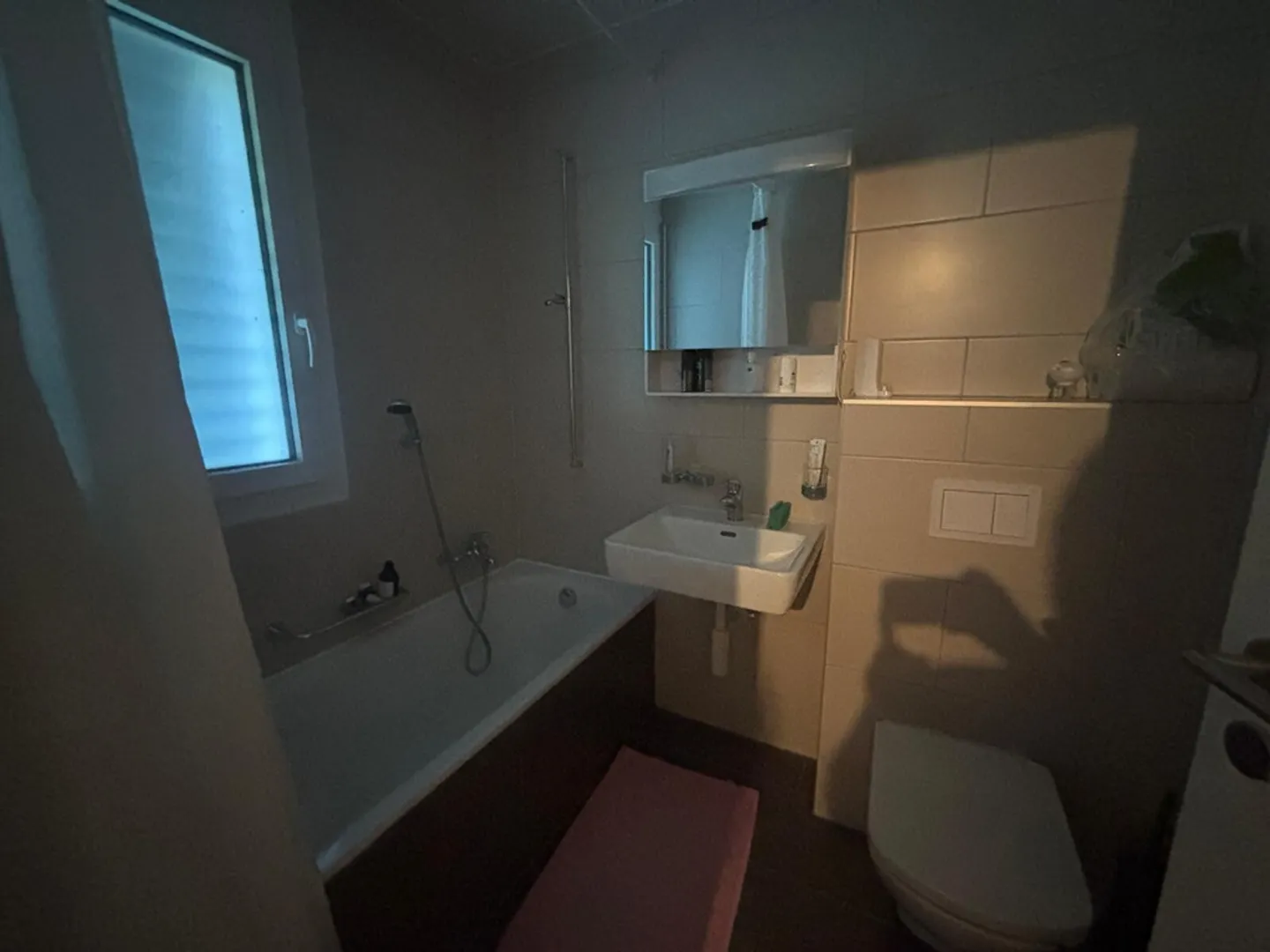 Wohnung mit Seeblick - Foto 6 von 12