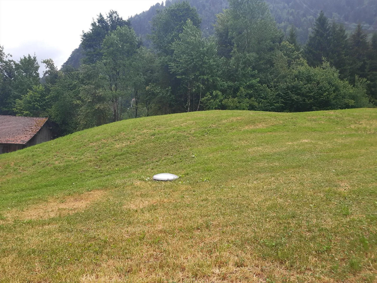 in vendita - Foto 1 di 2