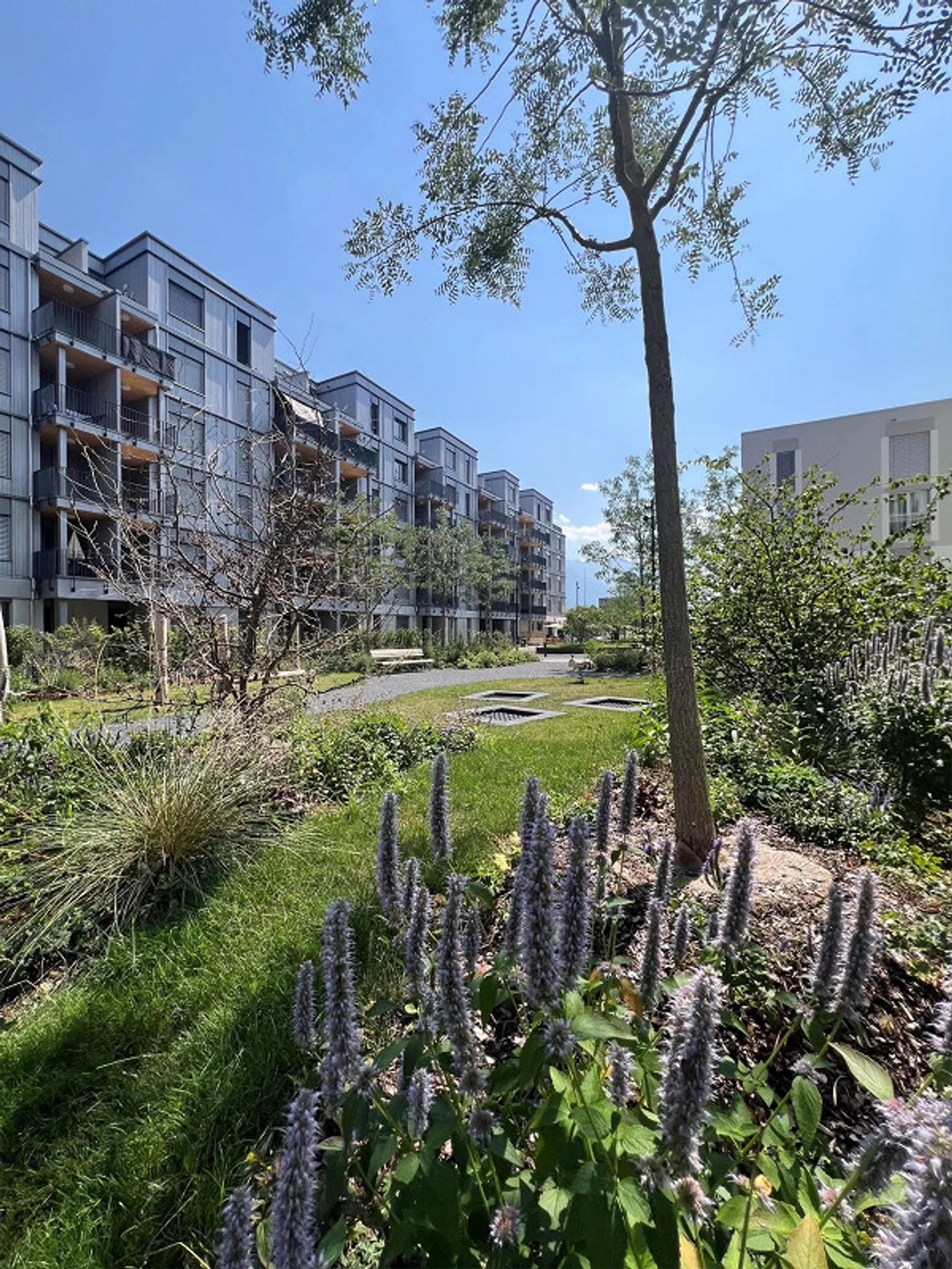 Rheincity Buchs / bright 3.5 room apartments in an optimal location - Photo 1 of 26