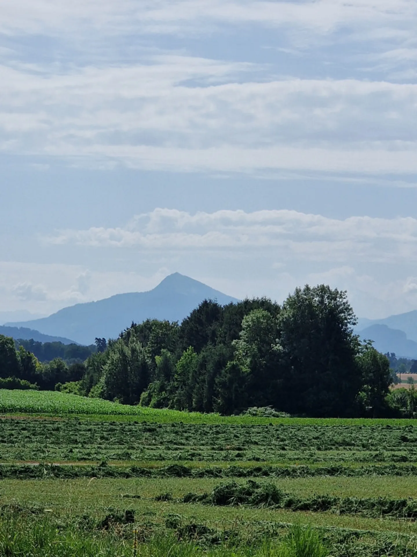 Authentic Duplex & Garden, Presinge - Photo 13 of 13