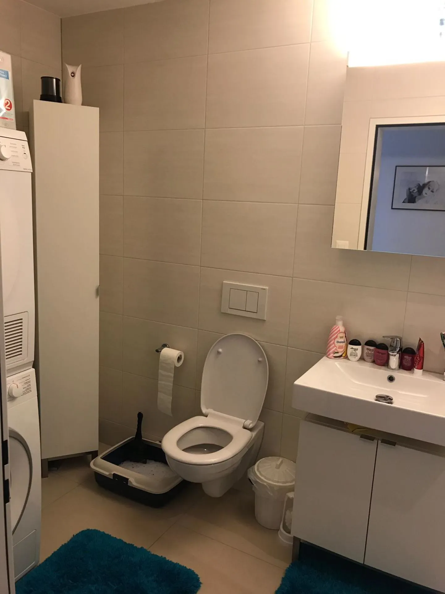 Geräumige 4.5 Zimmer Wohnung - Foto 7 von 11