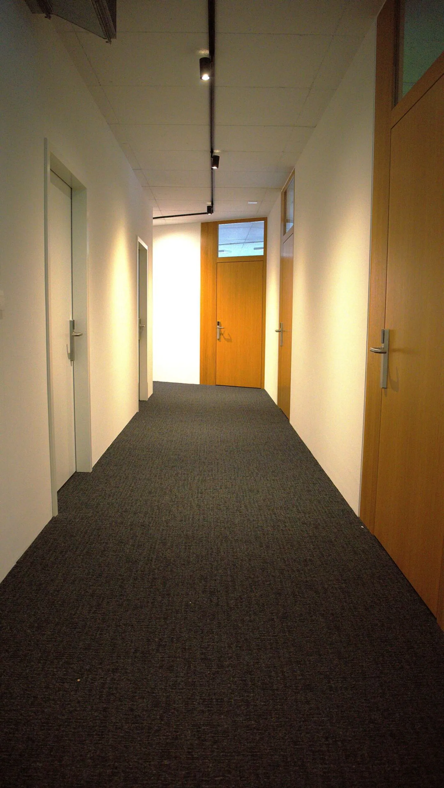 Ufficio Doppio in Posizione Centrale - Foto 4 di 14