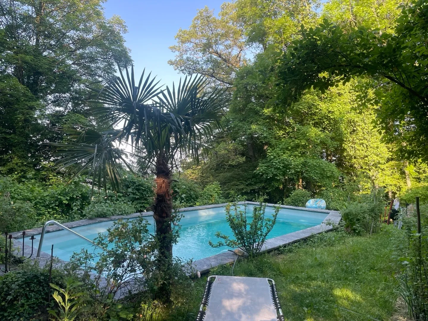 APPARTAMENTO 3½ STANZE A UETLIBERG (ZH), ARREDATO, TEMPORANEO - Foto 1 di 6