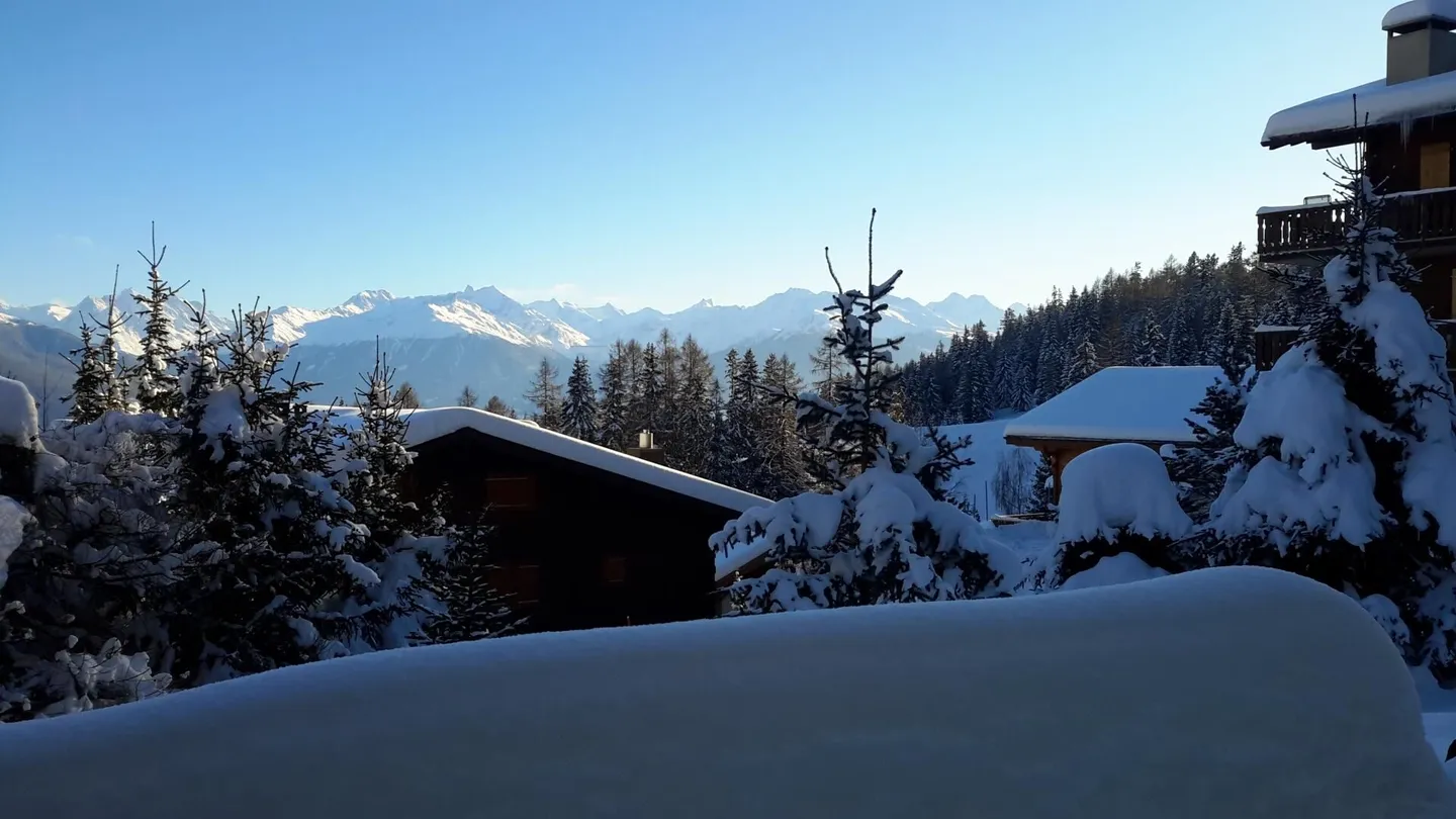 Rhododendrons 101 Weekly Rental - Photo 9 of 12