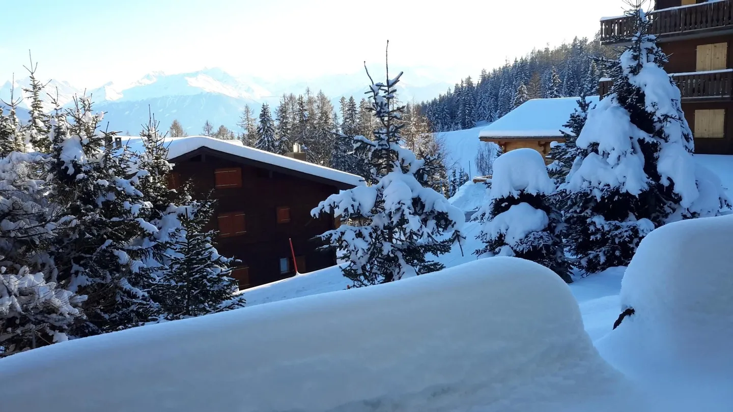 Rhododendrons 101 Weekly Rental - Photo 10 of 12