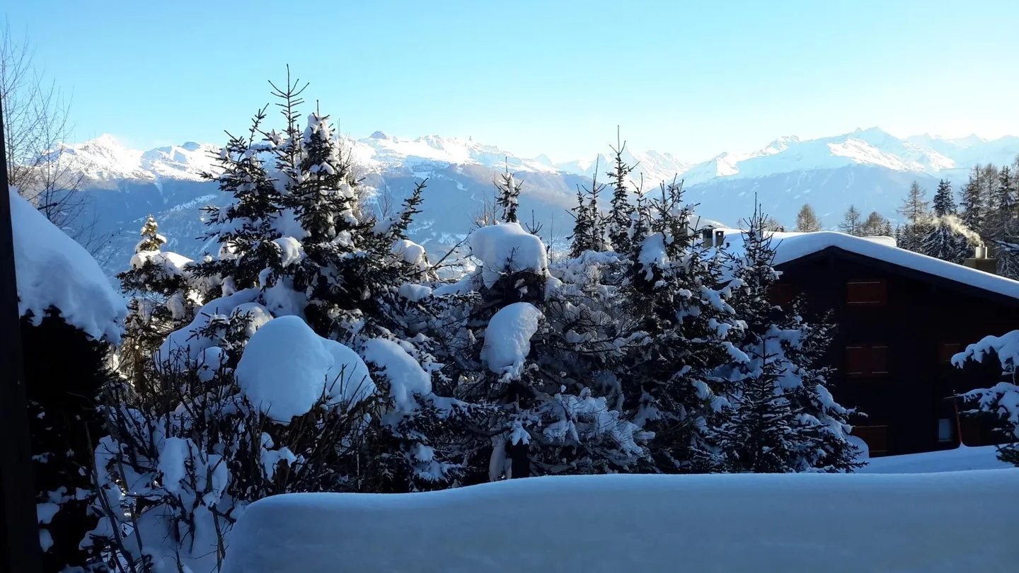 Rhododendrons 101 Weekly Rental - Photo 11 of 12