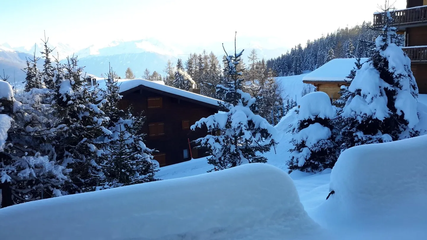 Rhododendrons 101 Weekly Rental - Photo 7 of 12