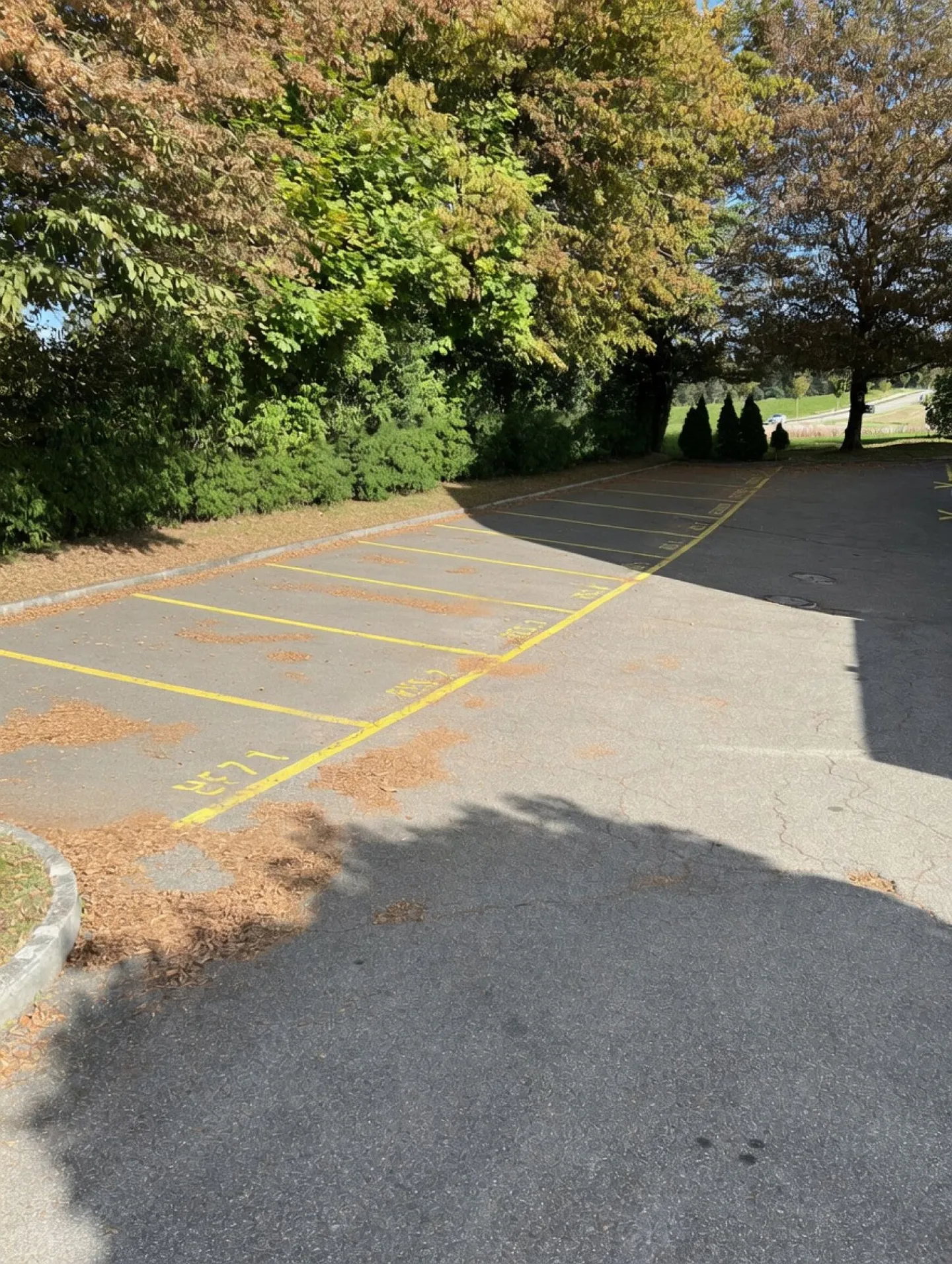 Posti auto all'aperto in affitto - Foto 2 di 2