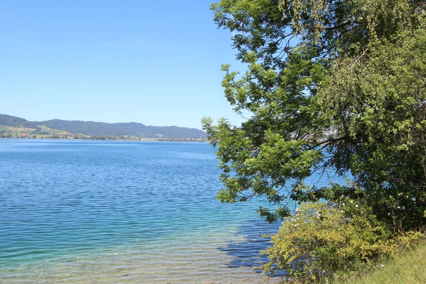 Chalet Sonnenbühl: Attractive two-family house with unobstructed mountain views and the lake as a backdrop - Photo 16 of 19
