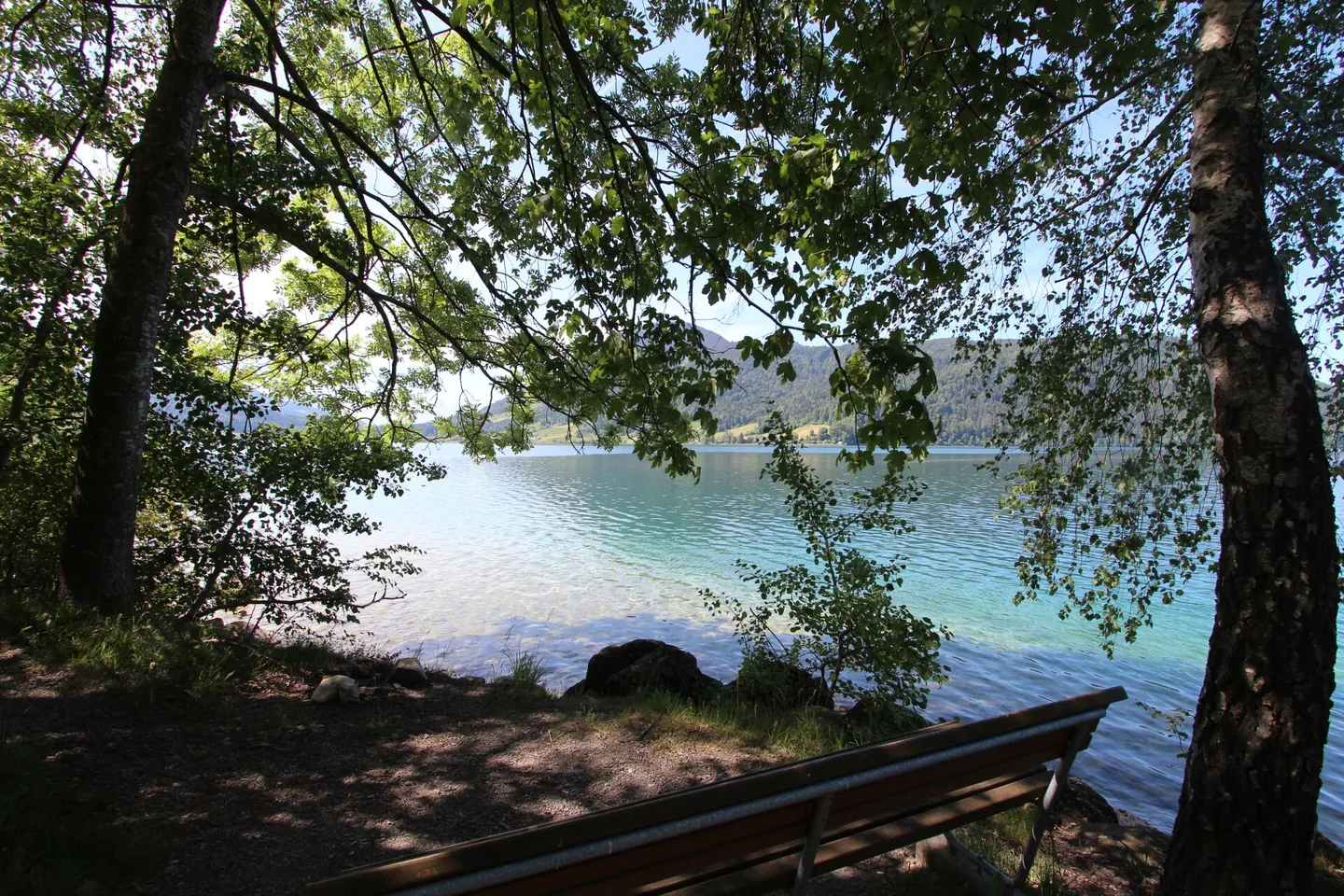 Chalet Sonnenbühl: Attractive two-family house with unobstructed mountain views and the lake as a backdrop - Photo 17 of 19