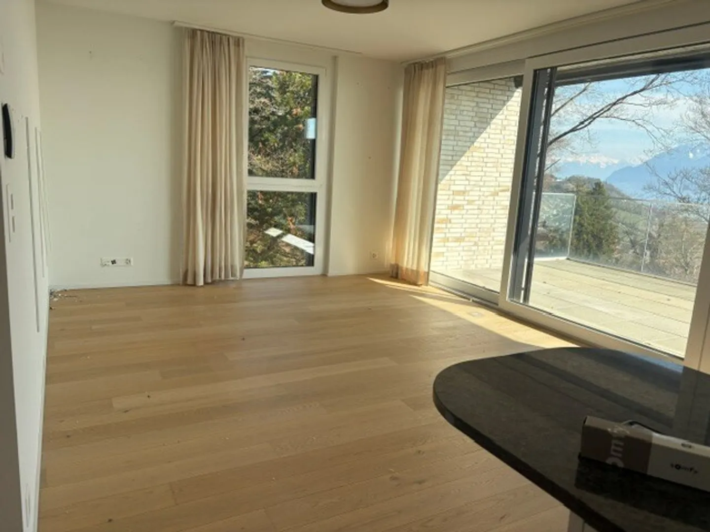 Beautiful 3.5-room apartment with beautiful lake and mountain views - Photo 8 of 10