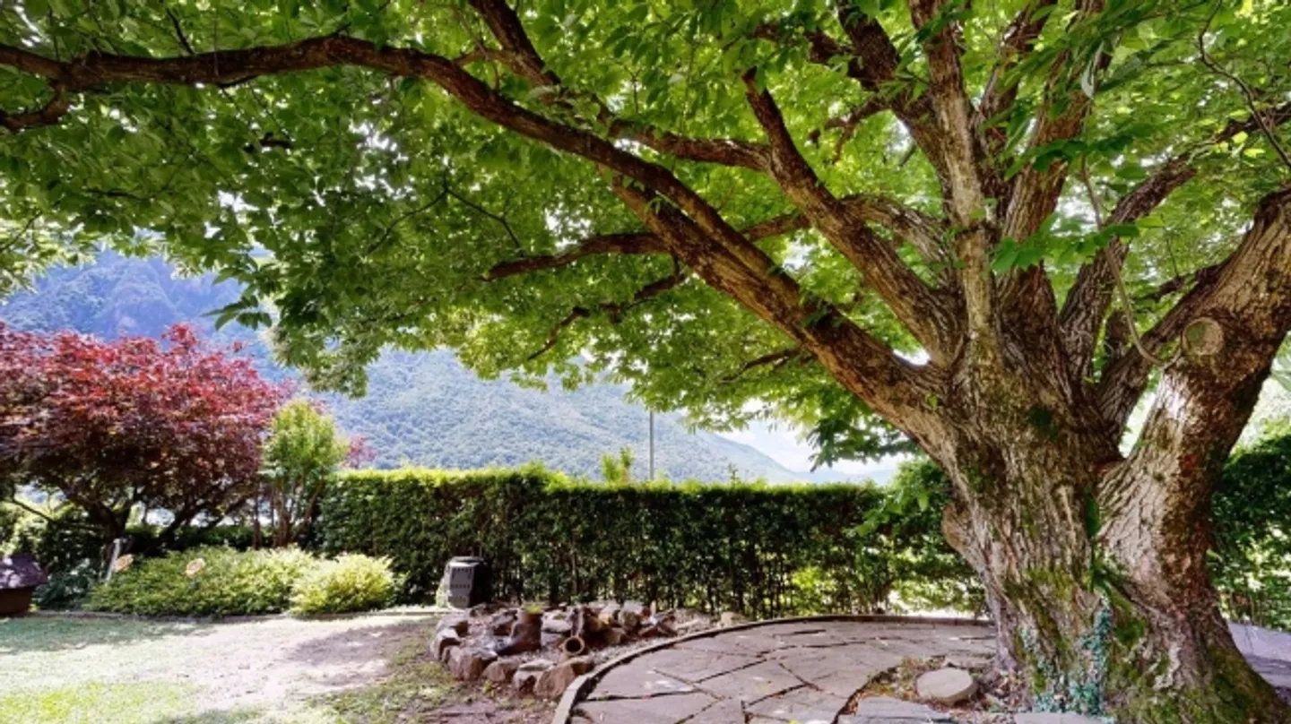 Casa singola in affitto - Foto 1 di 10