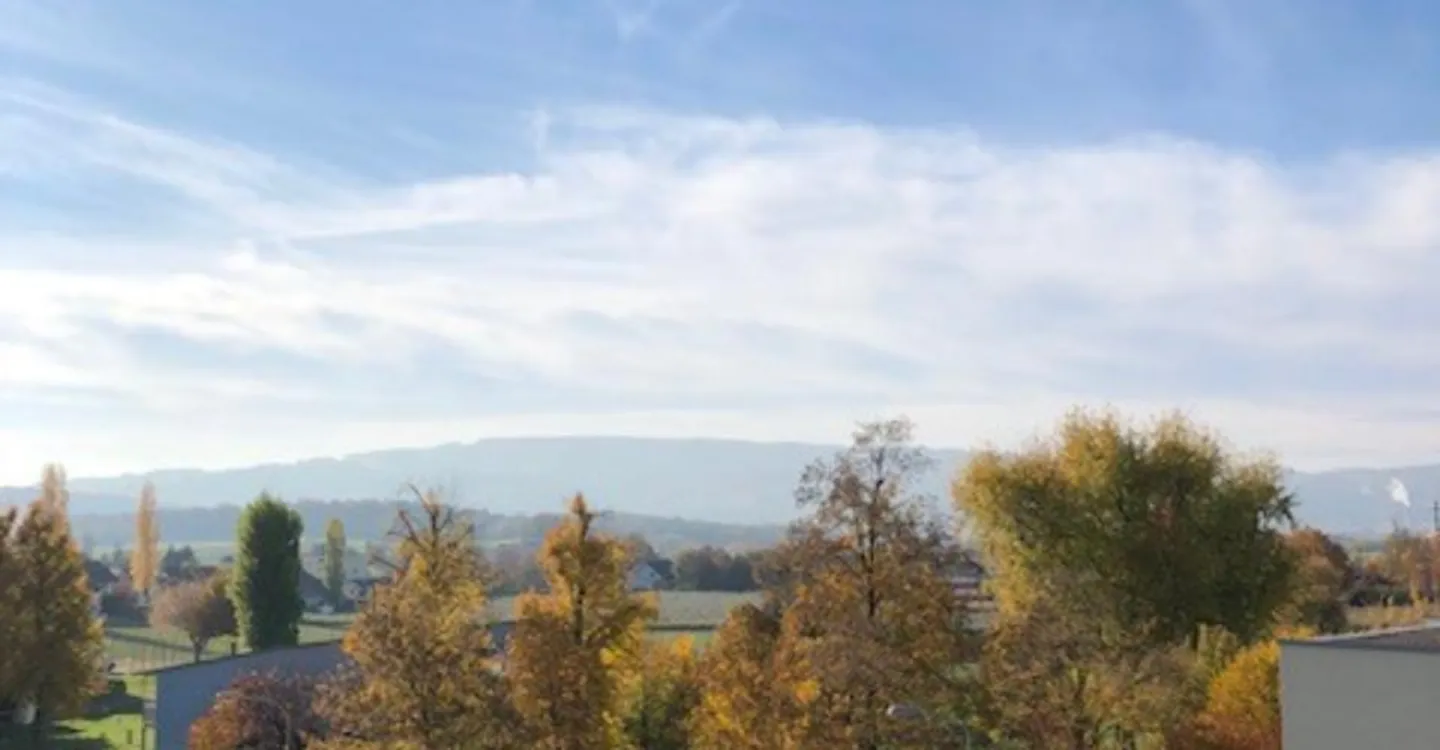 Geräumige Attikawohnung mit Terrasse - Foto 5 von 5